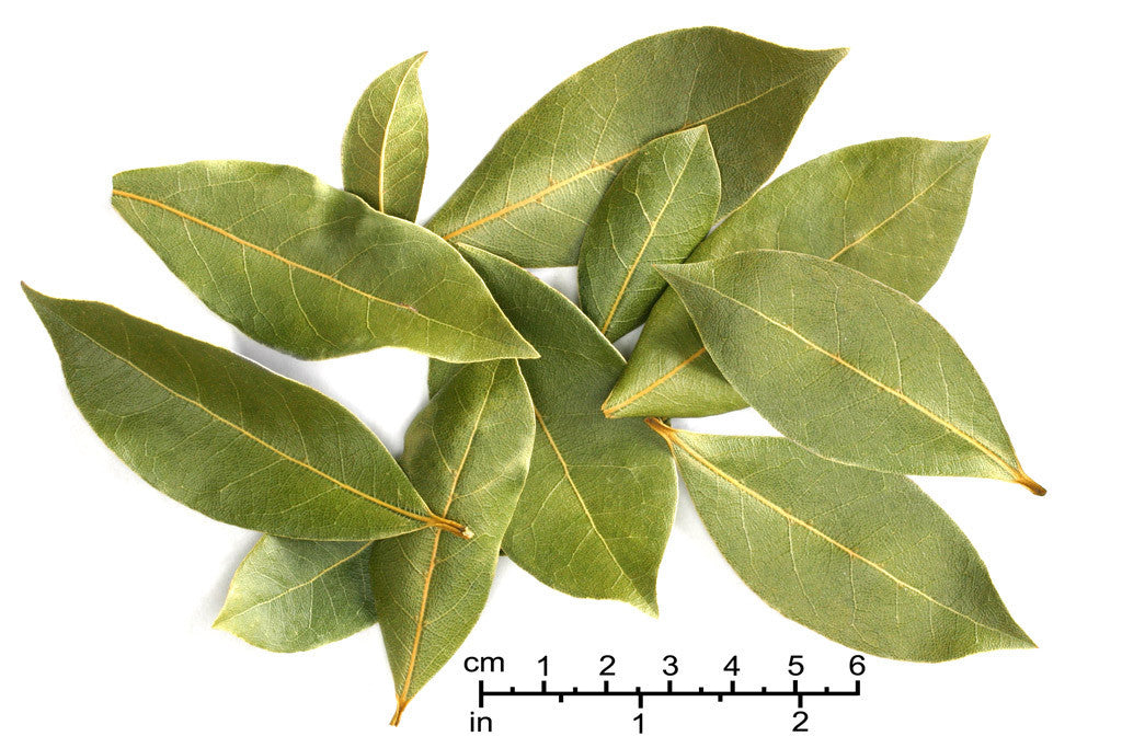 Bay Leaves