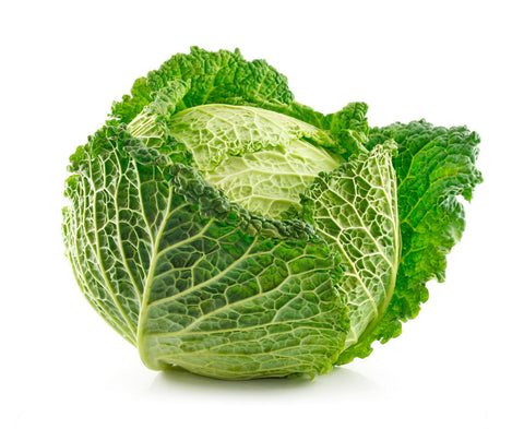 Cabbage savoy