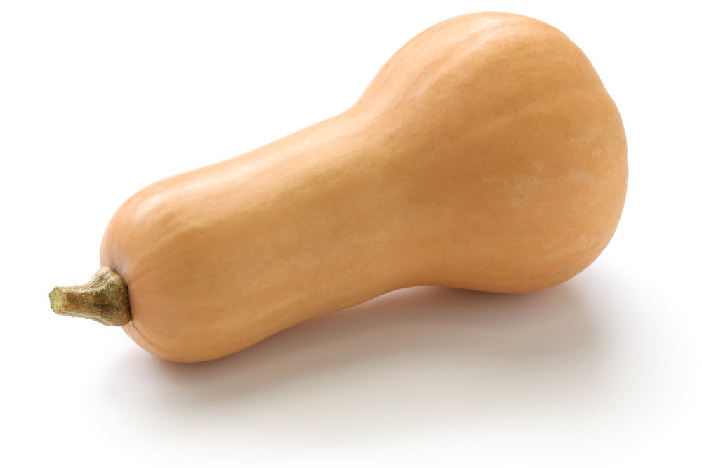 Butternut Squash