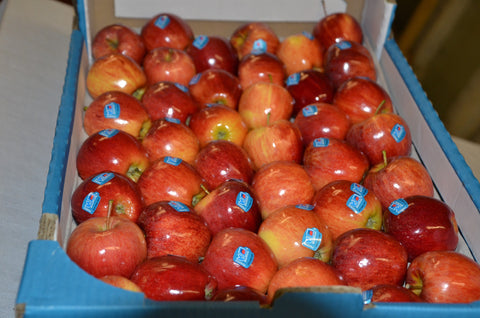 Apples - Full box of 84! (Royal Gala)